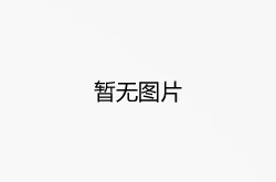 镇鑫苗木公司供应石榴树苗
